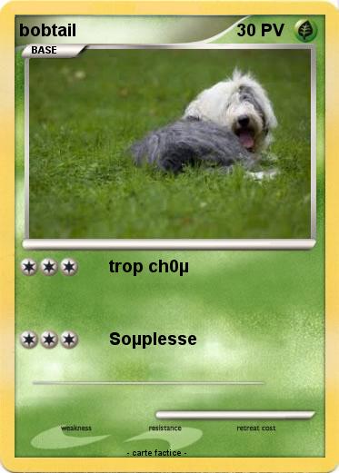 Pokemon bobtail
