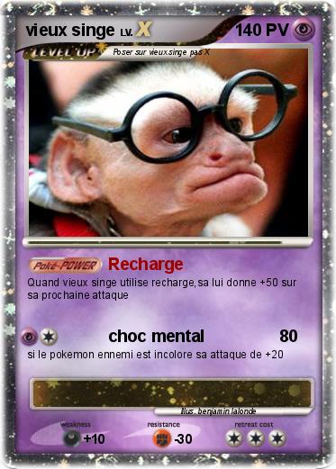 Pokemon vieux singe