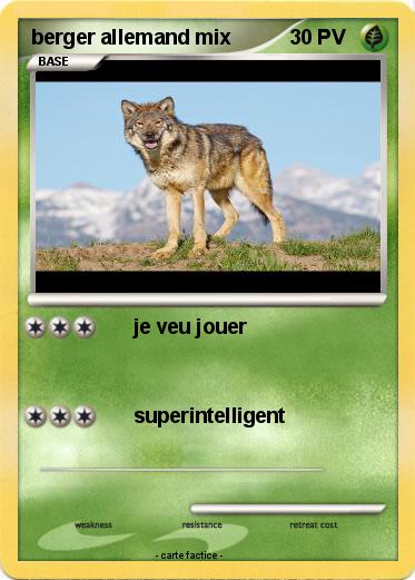 Pokemon berger allemand mix