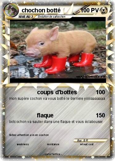 Pokemon chochon botté
