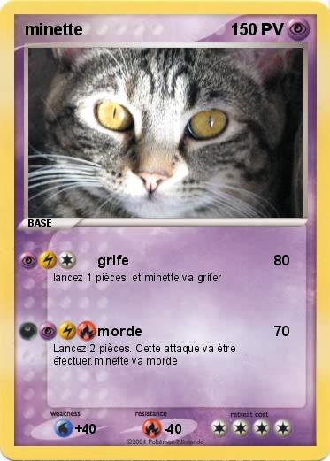 Pokemon minette