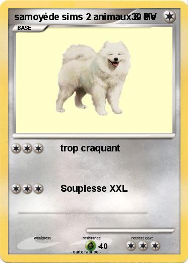 Pokemon samoyède sims 2 animaux & cie