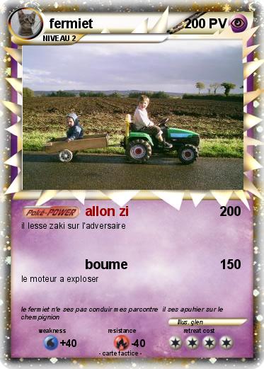Pokemon fermiet