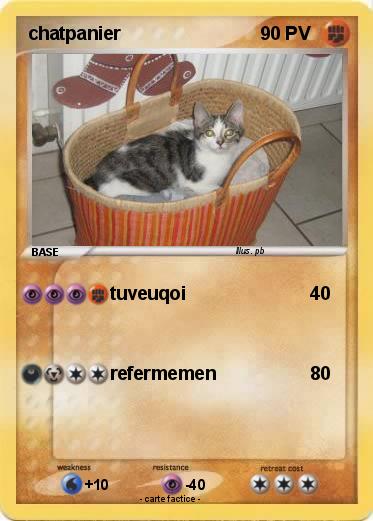 Pokemon chatpanier