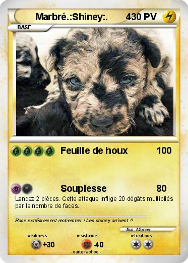 Pokemon Marbré.:Shiney:.       4