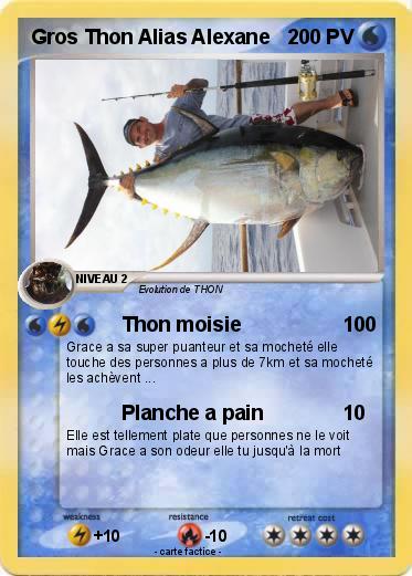 Pokemon Gros Thon Alias Alexane