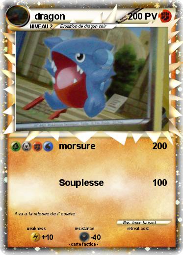 Pokemon dragon