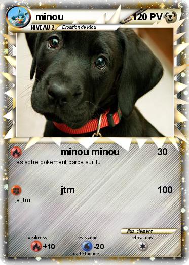Pokemon minou