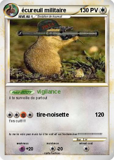 Pokemon écureuil militaire