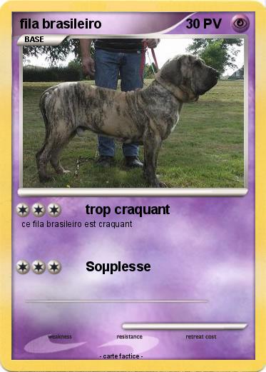 Pokemon fila brasileiro
