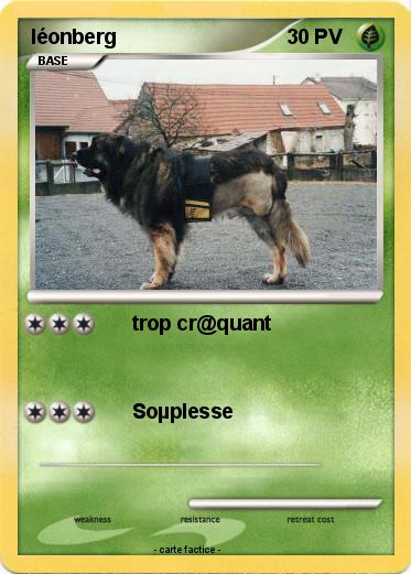 Pokemon léonberg