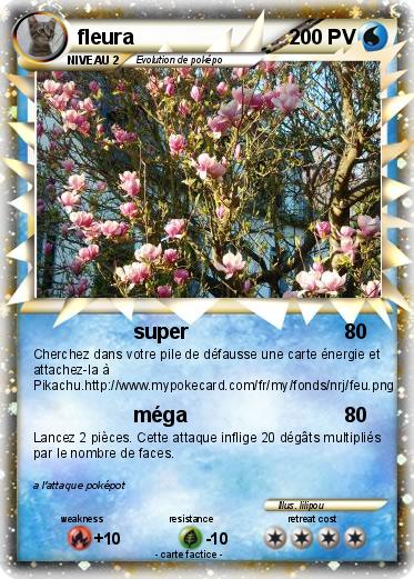 Pokemon fleura