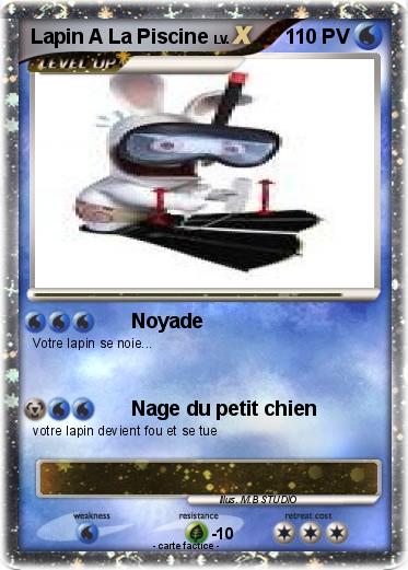 Pokemon Lapin A La Piscine