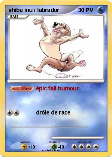 Pokemon shiba inu / labrador