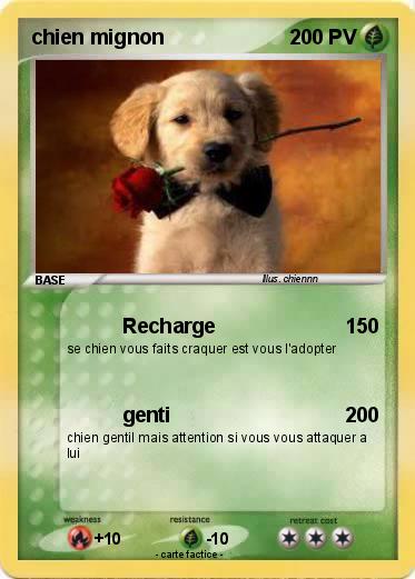 Pokemon chien mignon