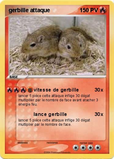 Pokemon gerbille attaque