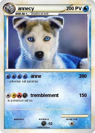 Pokemon annecy