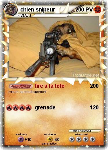 Pokemon chien snipeur