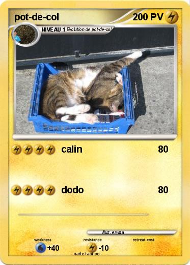 Pokemon pot-de-col