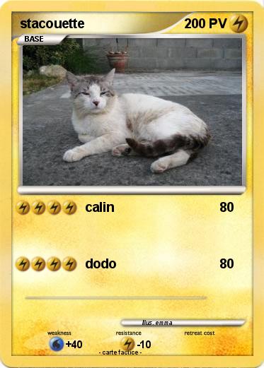 Pokemon stacouette