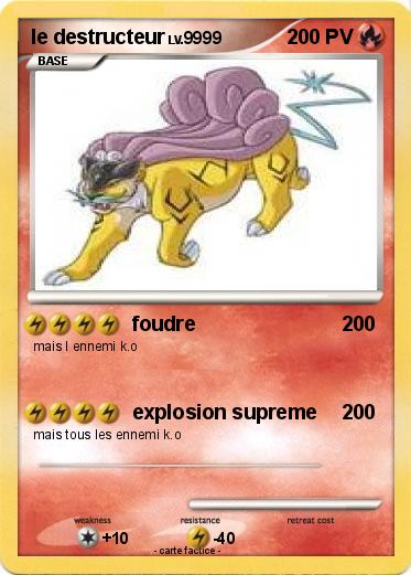 Pokemon le destructeur