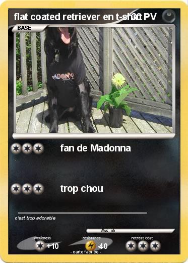 Pokemon flat coated retriever en t-shirt