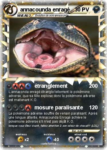Pokemon annacounda enragé