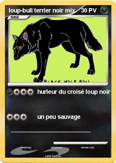 Pokemon loup-bull terrier noir mix