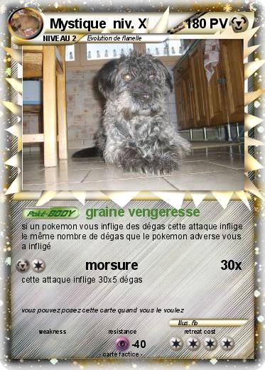 Pokemon Mystique  niv. X