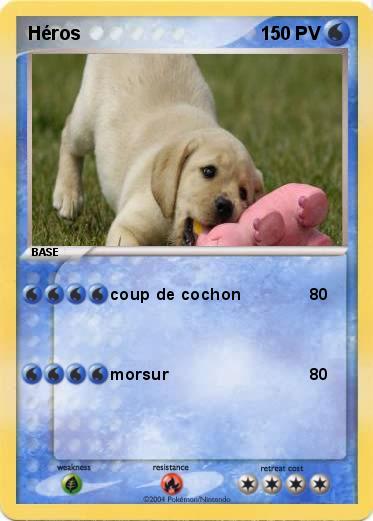 Pokemon Héros