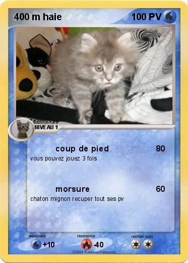 Pokemon 400 m haie