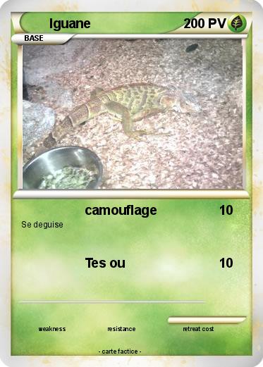 Pokemon Iguane