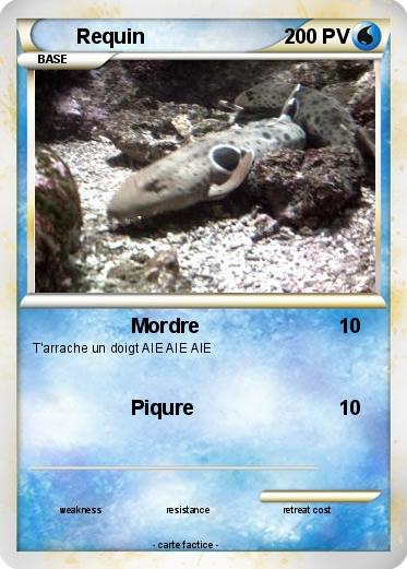 Pokemon Requin
