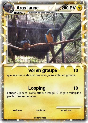Pokemon Aras jaune