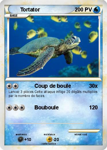 Pokemon Tortator