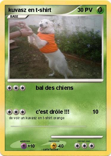 Pokemon kuvasz en t-shirt