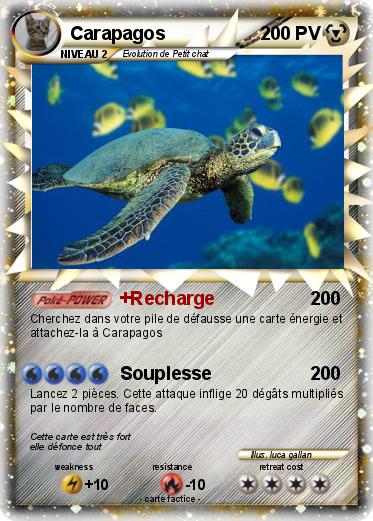 Pokemon Carapagos