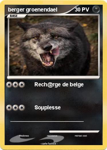 Pokemon berger groenendael