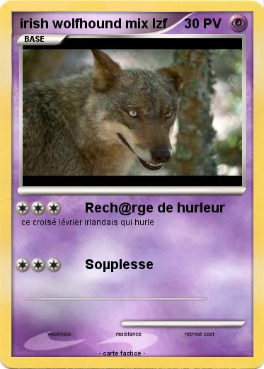 Pokemon irish wolfhound mix lzf
