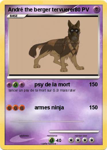 Pokemon André the berger tervueren