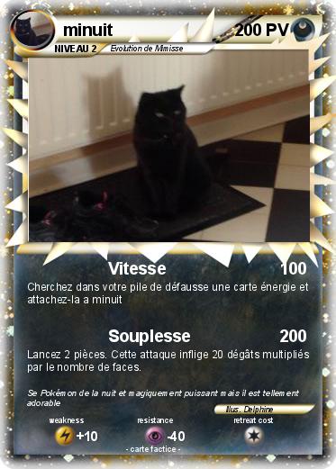 Pokemon minuit
