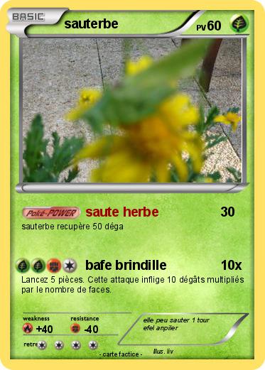 Pokemon sauterbe