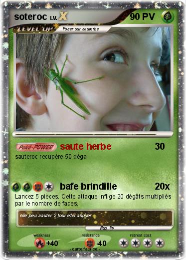 Pokemon soteroc