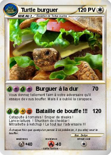 Pokemon Turtle burguer