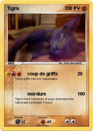 Pokemon Tigris