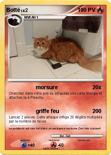 Pokemon Botté