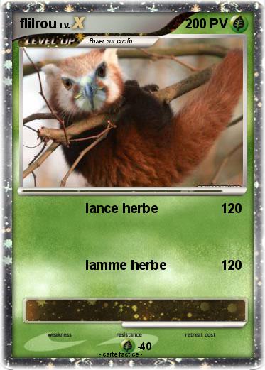 Pokemon flilrou