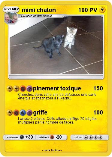Pokemon mimi chaton