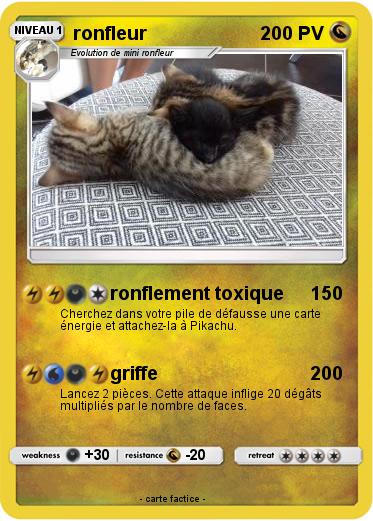 Pokemon ronfleur