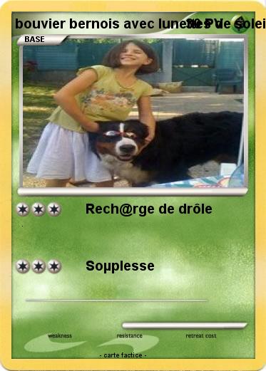 Pokemon bouvier bernois avec lunettes de soleil
